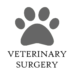 Veterinary Surgeries